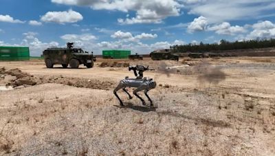 China’s military shows off rifle-toting robot dogs