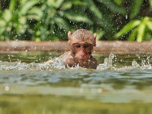 Heatwave pushes Delhi to the edge, claims 18 lives