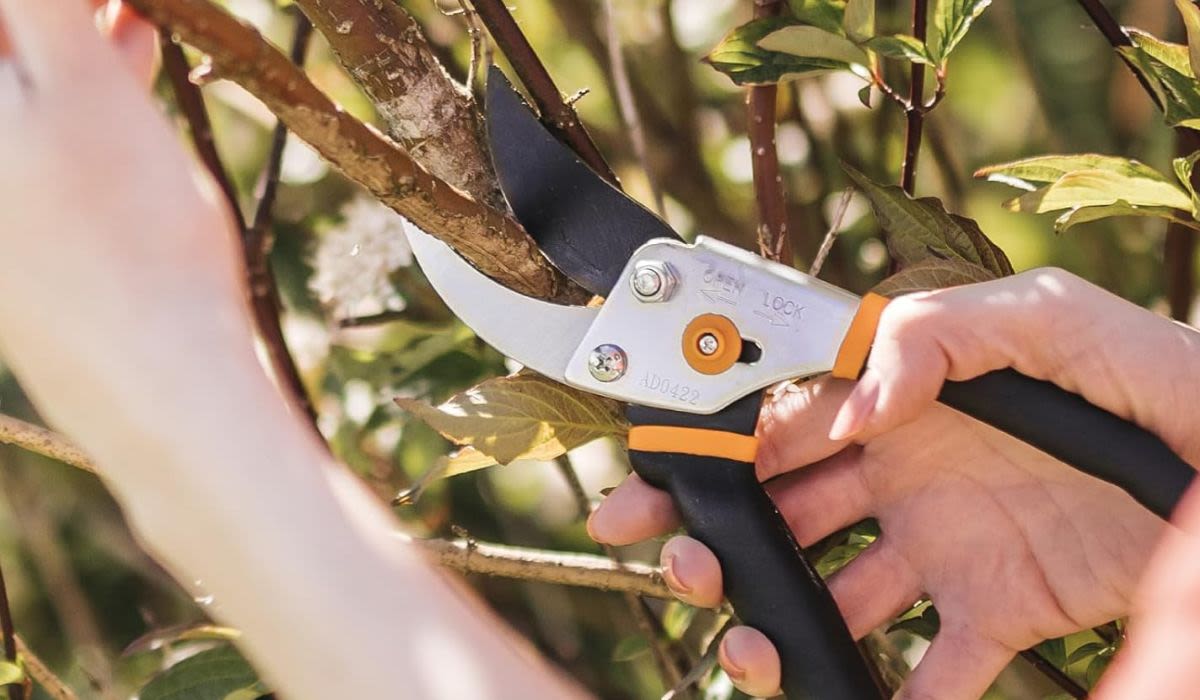 'Cuts like a hot knife through butter': Fiskars pruning shears are down to $14