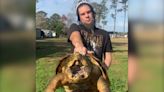 Giant 100-year-old snapping alligator turtle vanishes without a trace along North Carolina interstate