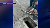 Hialeah Fire Department conducts duckling rescue operation - WSVN 7News | Miami News, Weather, Sports | Fort Lauderdale