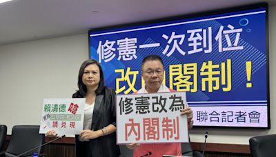 台南藍營議員要求立院成立「修憲委員會」 喊總統制改內閣制 | 蕃新聞