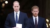 Prince William THE REAL REASON Why King Charles DIDN'T Meet With Prince Harry, Says Insider
