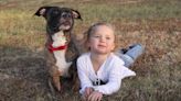 The Truth Behind Story of Toddler Supposedly Missing for 2 Days Until a Vet Checked Her Pit Bull