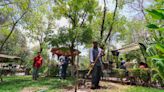 Arranca campaña de reforestación en colonias de Lerdo