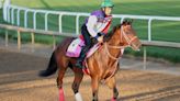 Preakness candidates line up in weekend horse racing - UPI.com