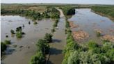 Animal genocide – animals have ‘no chance of survival’ as 55,000 hectares of forest flooded in Kherson Oblast