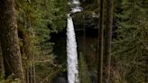 New trailhead, hiking trail and viewpoint opens at Silver Falls State Park