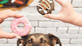 Donut for your pup? Krispy Kreme celebrates National Dog Day with 'doggie' treats