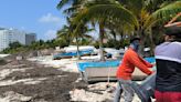 Resguardan embarcaciones pesqueras y turísticas en Cancún