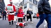 Outdoor holiday events, elves and more festive fun this season