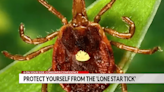 6 On Your Side: Consumer Confidence, protect yourself from the 'lone star' tick