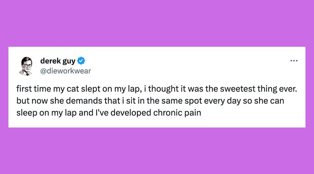 23 Of The Funniest Tweets About Cats And Dogs This Week (June 15-21)