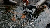 Nigeria’s oil-rich Rivers State makes moves to become investor magnet