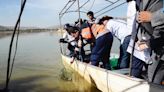 Peces vuelven a poblar Alalay para reducir las larvas de los mosquitos