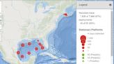 Are sperm whales common in Florida? What we know about the viral beached whale