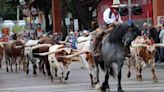 Guide to Fort Worth Stockyards: Western history, fine dining, music and cattle drives