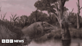 Skull of prehistoric 'giant goose' discovered in Australia