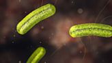 Listeria outbreaks from fruit reported in Florida, other states, CDC says