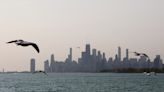 The reason advocates say Chicago doesn’t do enough to protect migrating birds