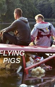 Flying Pigs