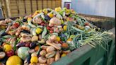 Earth Day 2024: 4 effective strategies to reduce household food waste