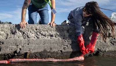 De la cabeza al rescate del mar: cómo el cabello está limpiando aguas contaminadas en Chile