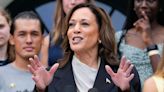 How the House GOP campaign arm is pivoting to target Harris: Border, fracking and protests