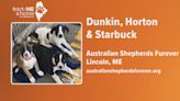 Fetch ME a Home: Meet Dunkin, Horton, and Starbuck