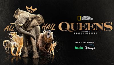 In ‘Queens,’ National Geographic’s Emmy-Contending Documentary Series, Female Leaders Rule The Natural World
