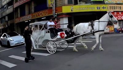 台中街頭「馬車迎娶」好夢幻 網喊「換雲豹裝甲」....未申請路權將開罰