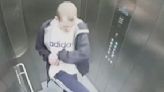 Moment vile bully attacks defenceless puppy in a lift