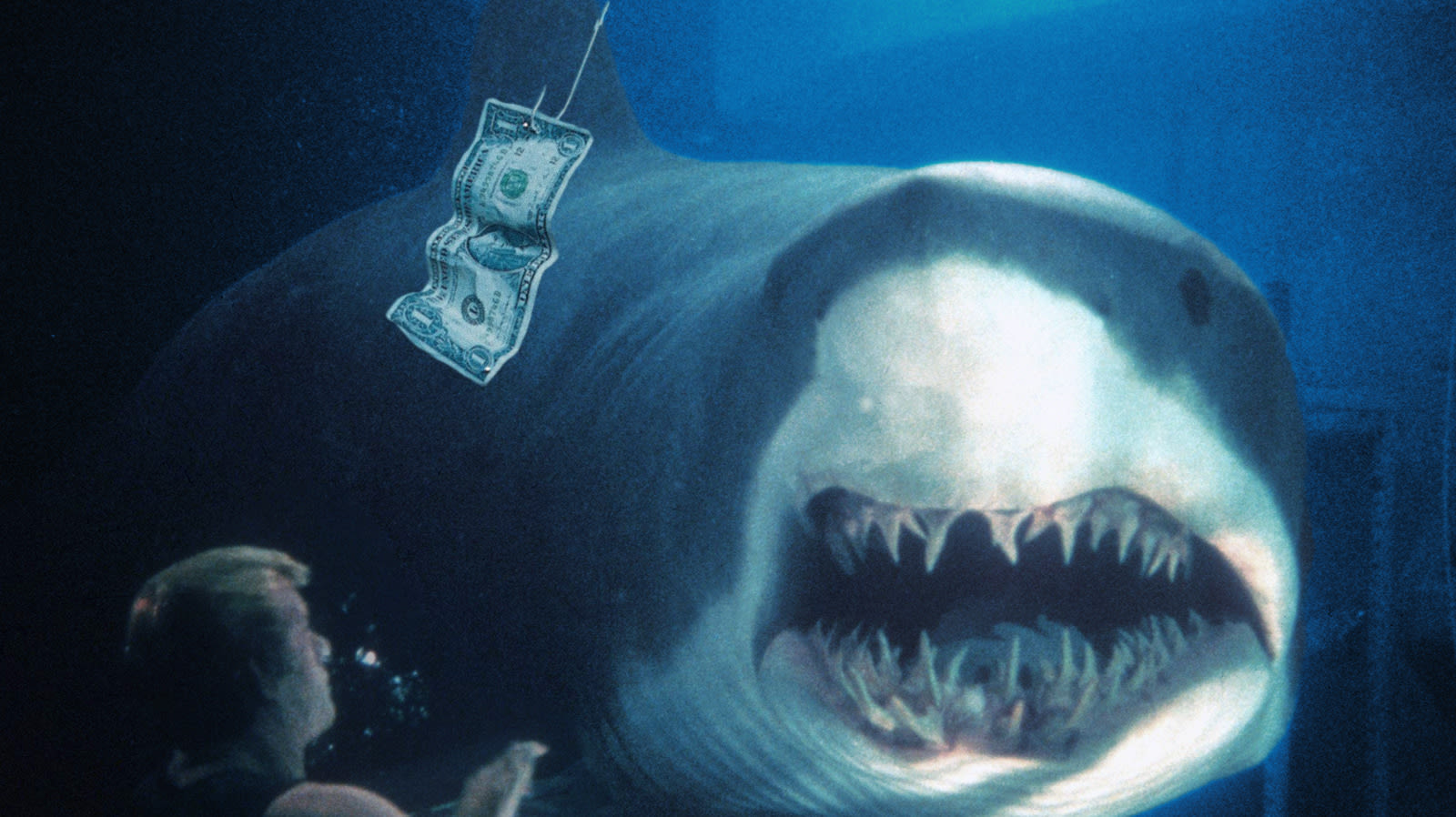 Deep Blue Sea, The Second-Best Shark Movie Ever, Was Just A Modest Box Office Hit - SlashFilm