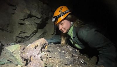 Inside a New Brunswick mine, a beaver’s cadaver sprouts new life