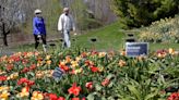 Does your mom love flowers? Here are 5 northeastern Wisconsin places to take her for Mother's Day