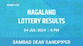 Nagaland Sambad Lottery Dear Sandpiper Thursday Winners - Check Results!