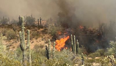 'Overwhelmed': Arizona officials urge wildfire precautions as state sees uptick in blazes