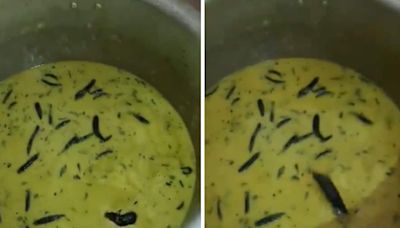 Shocking Video: Hyderabad Students Find Rat In Chutney Served At University Mess - News18