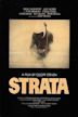 Strata