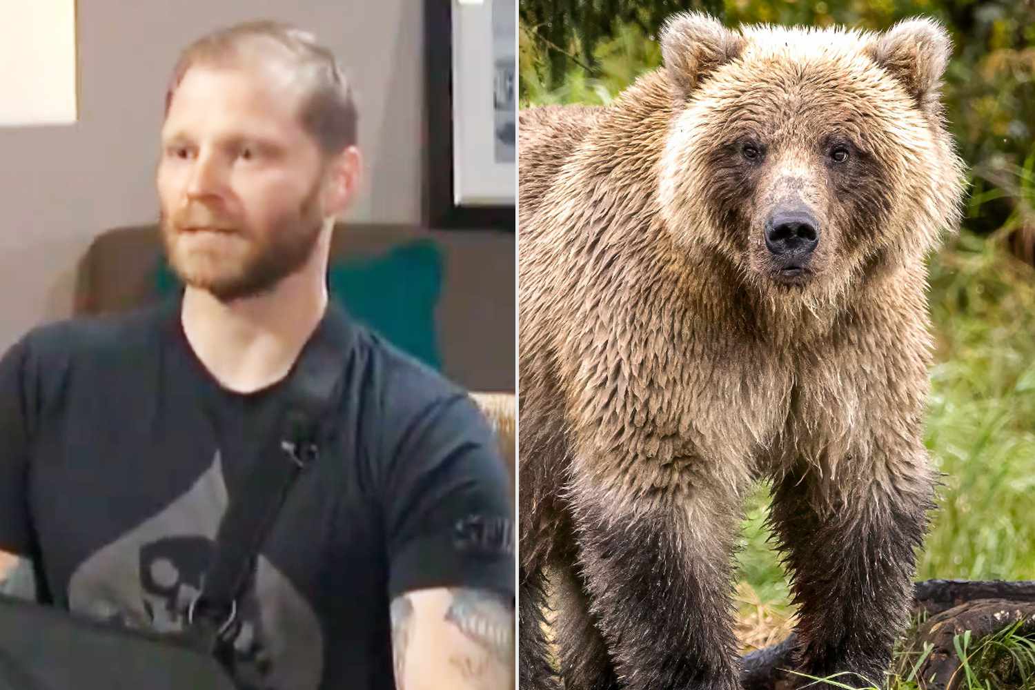 Veteran Was Attacked by Protective Grizzly Bear Defending Her Cub — Here’s What He Did to Survive