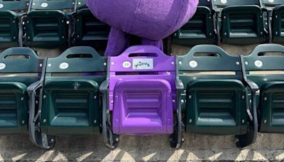 Mets' unlikely hero Grimace honored with purple seat at Citi Field