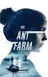 The Ant Farm