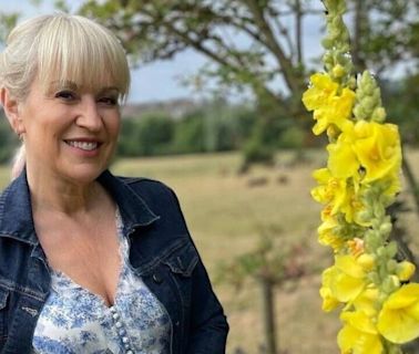 BBC Escape to the Country's Nicki Chapman's life off screen with husband