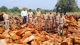 Surat forest officials seize khair wood worth Rs 5 crore from depot in Madhya Pradesh