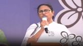 Mamata Banerjee dubs Union budget politically biased, anti-poor