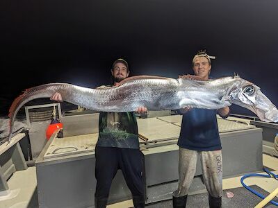 Rare 'doomsday fish' caught by fishermen off Tiwi Islands in Australia