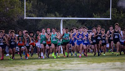 Vote now for your top SW Florida boys and girls high school cross country runners for 2024