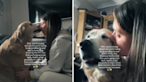 Woman moving abroad films "hardest" goodbye with elderly family dog