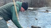 Michigan stocks Huron River, Spring Mill Pond with trout, but issues do not eat warning