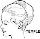 Temple (anatomy)